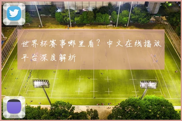 世界杯赛事哪里看？中文在线播放平台深度解析