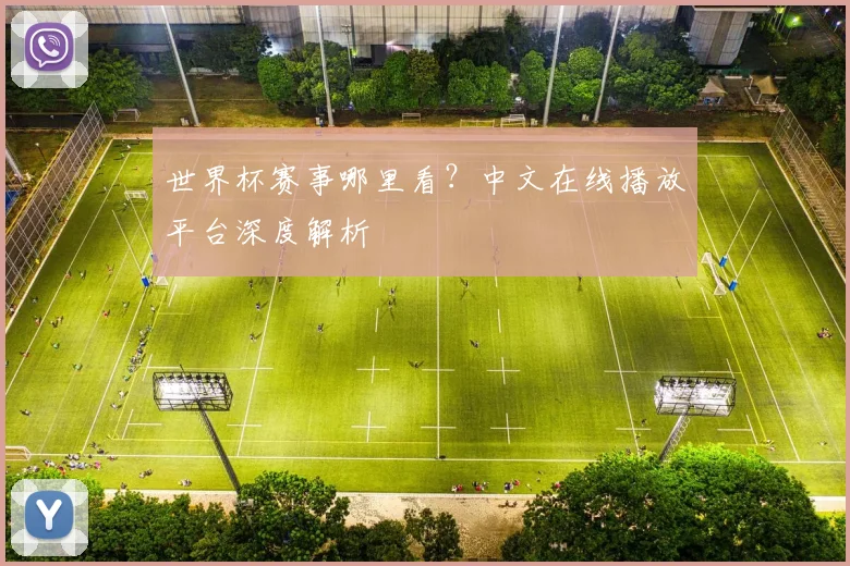 世界杯赛事哪里看？中文在线播放平台深度解析