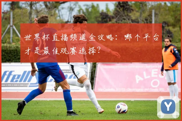 世界杯直播频道全攻略：哪个平台才是最佳观赛选择？